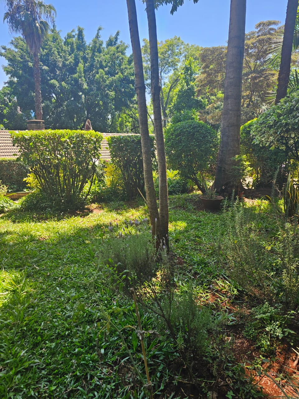 1.178 Acre Old Muthaiga