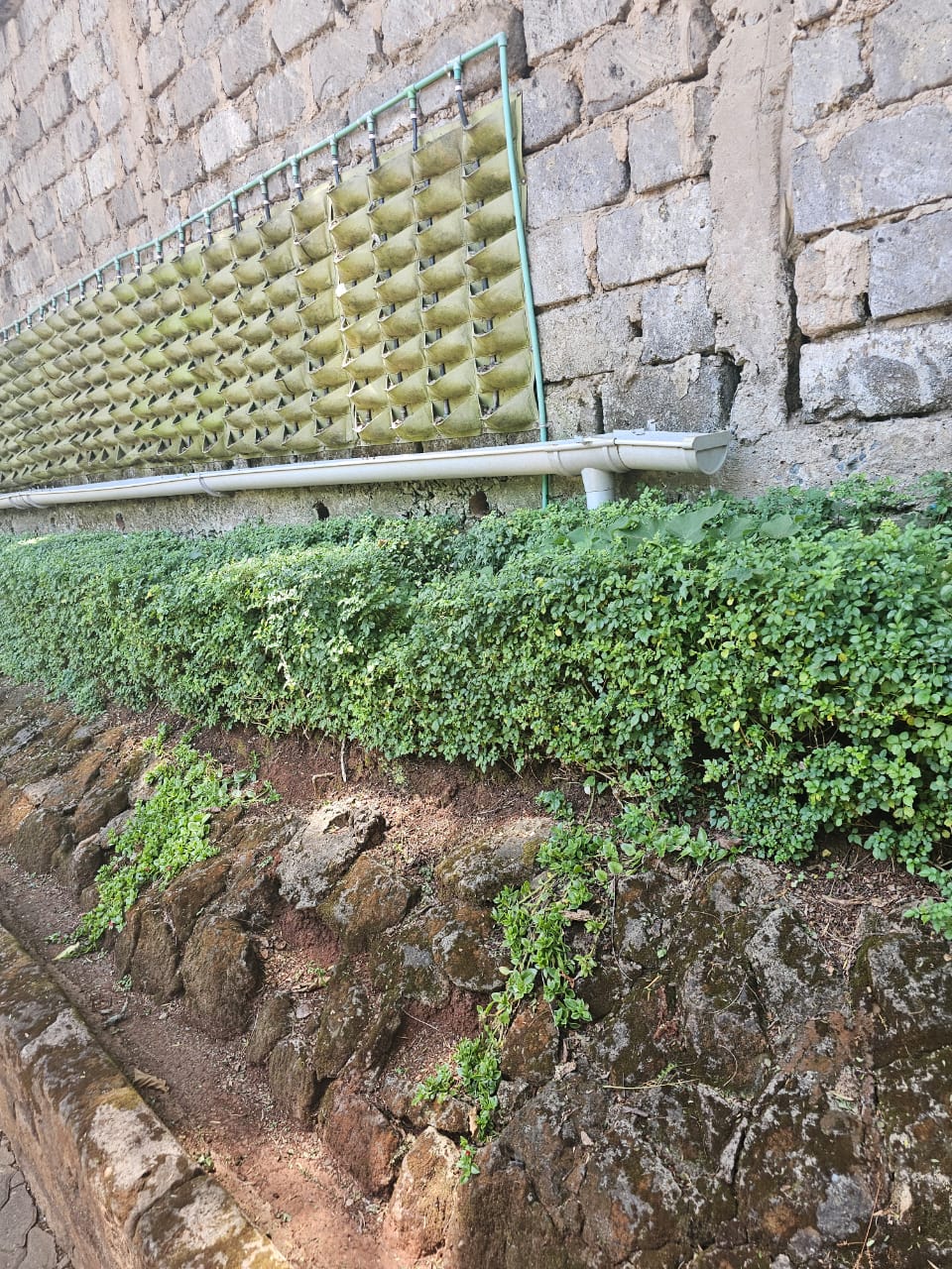 1.178 Acre Old Muthaiga