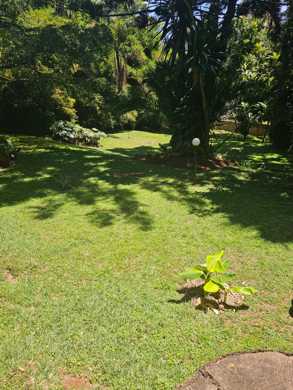 1.178 Acre Old Muthaiga