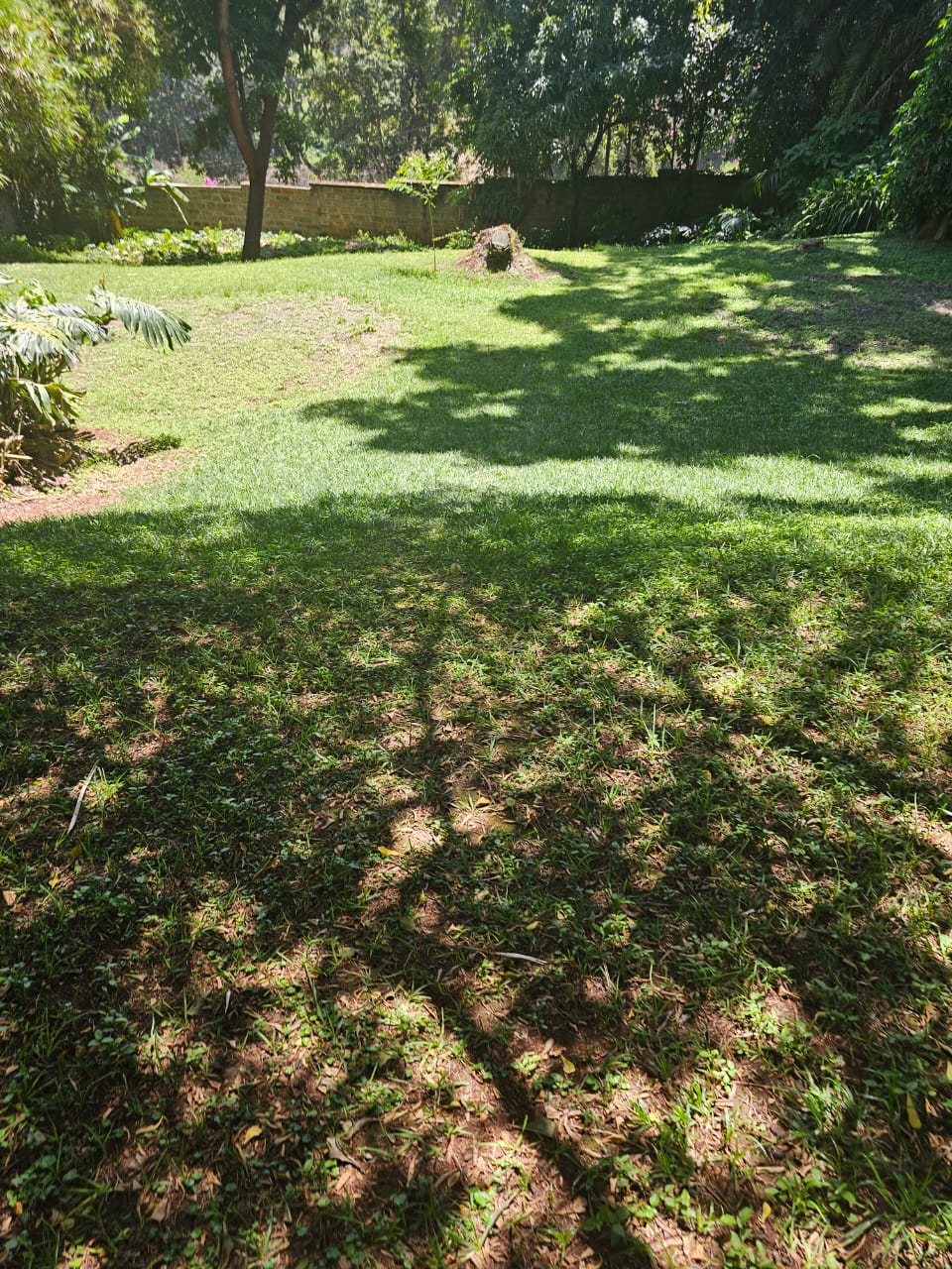 1.178 Acre Old Muthaiga