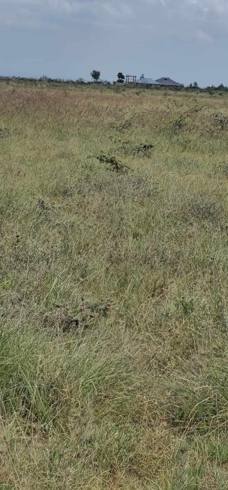 1 Acre Kangundo Road