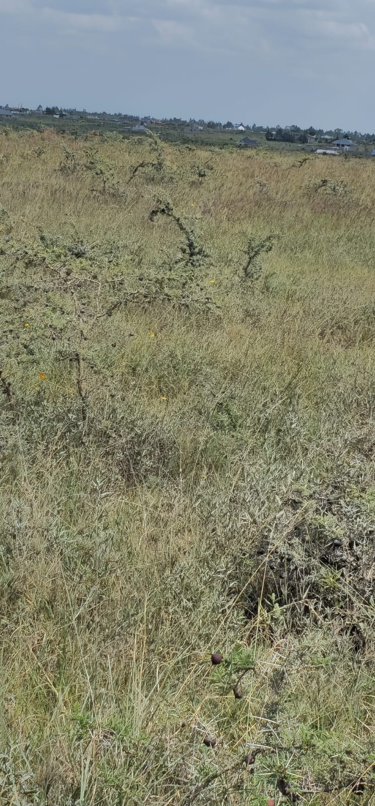 1 Acre Kangundo Road