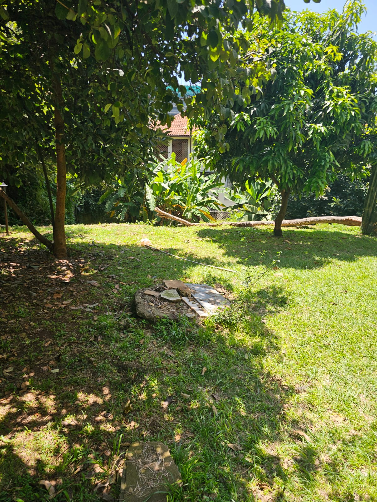 0.5 acre  Along Riara Road