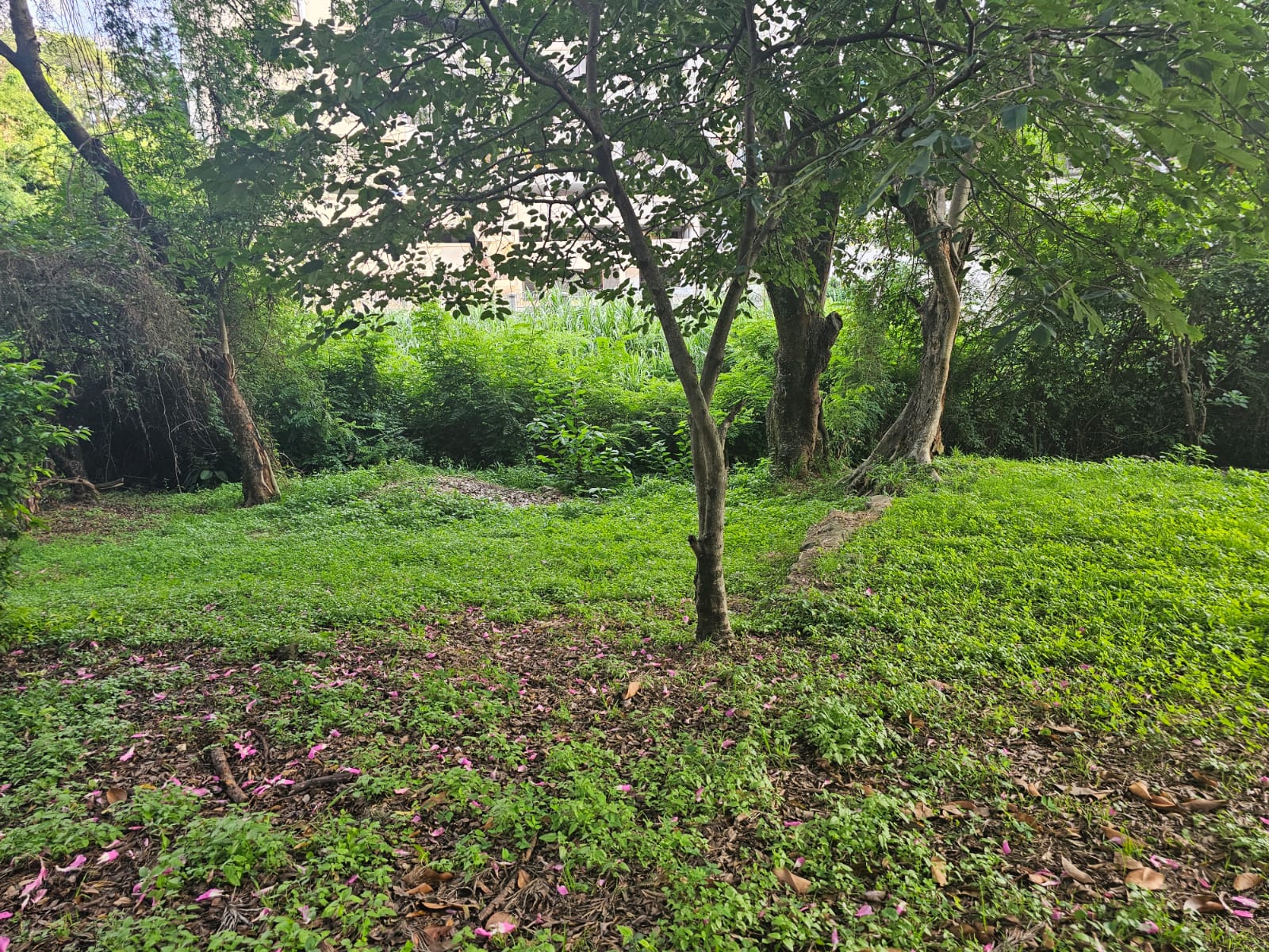 2 Acres Land Westlands Nairobi