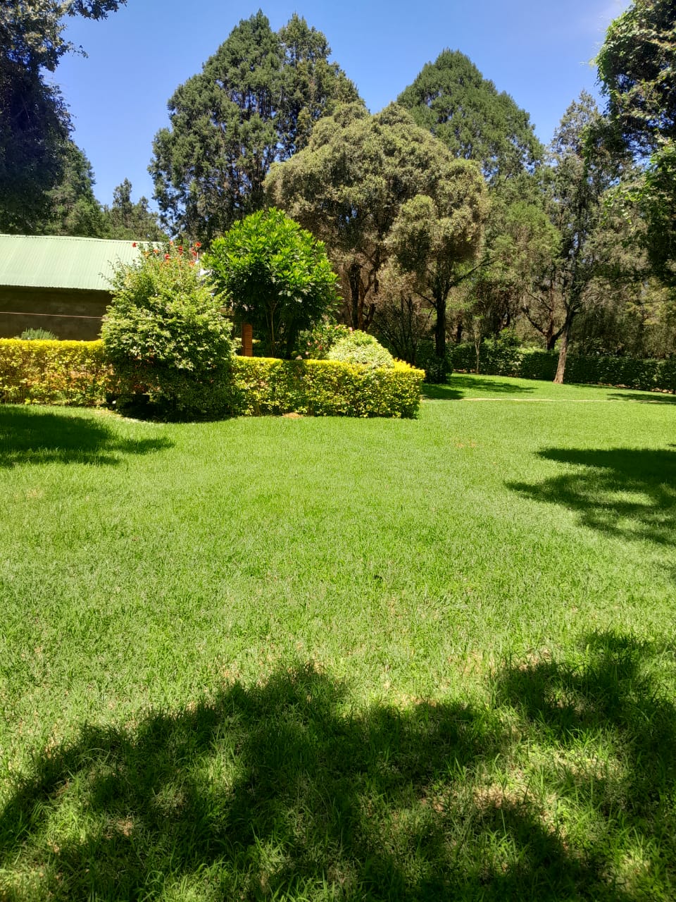 AirBnB Chrystal Milimani Nanyuki