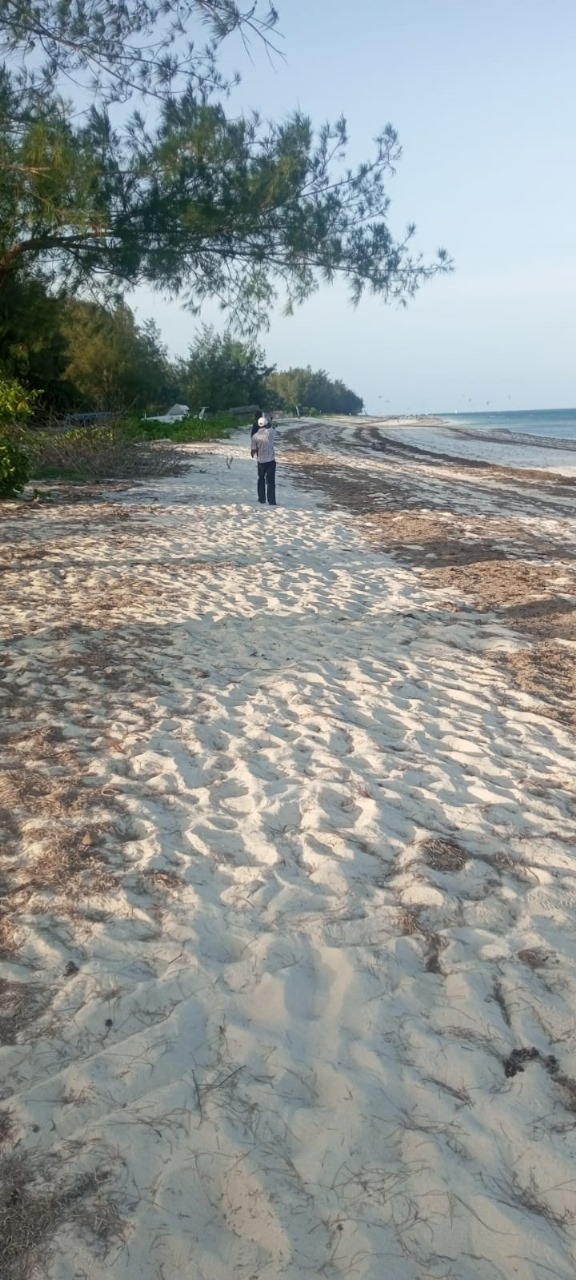 2.44 Acre For sale Diani Beach