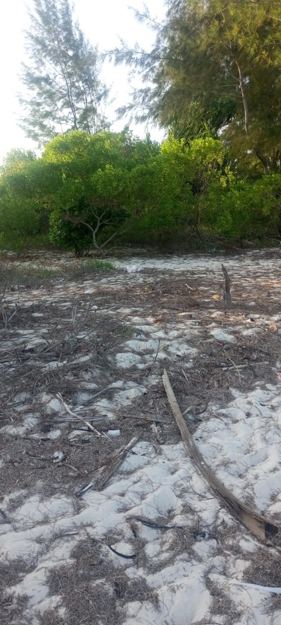 2.44 Acre For sale Diani Beach