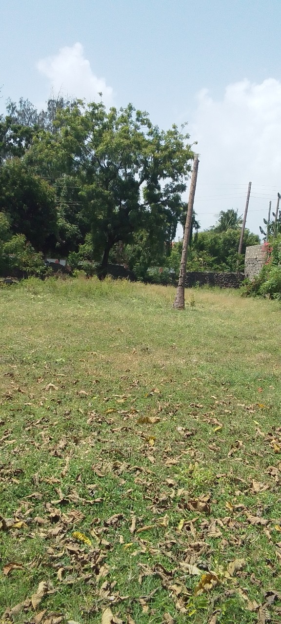 0.3113 Acre Plot for Sale Nyali