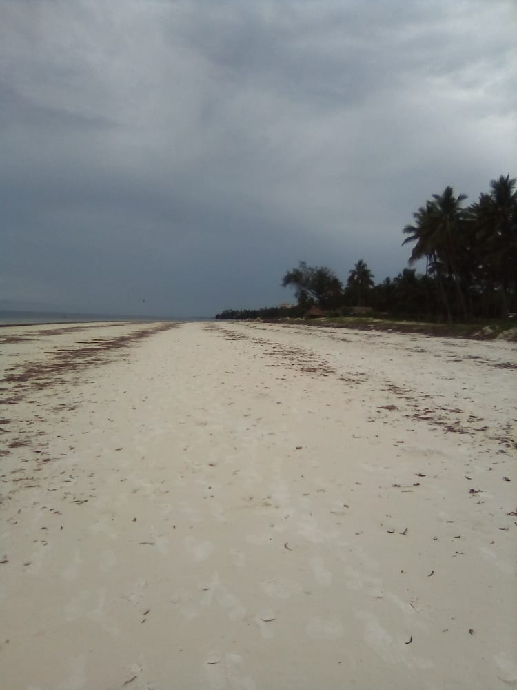 Plots For Sale Nyali Beach