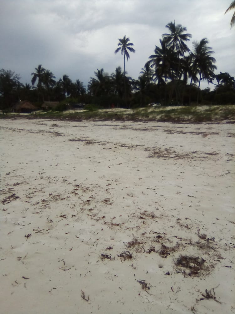 Plots For Sale Nyali Beach