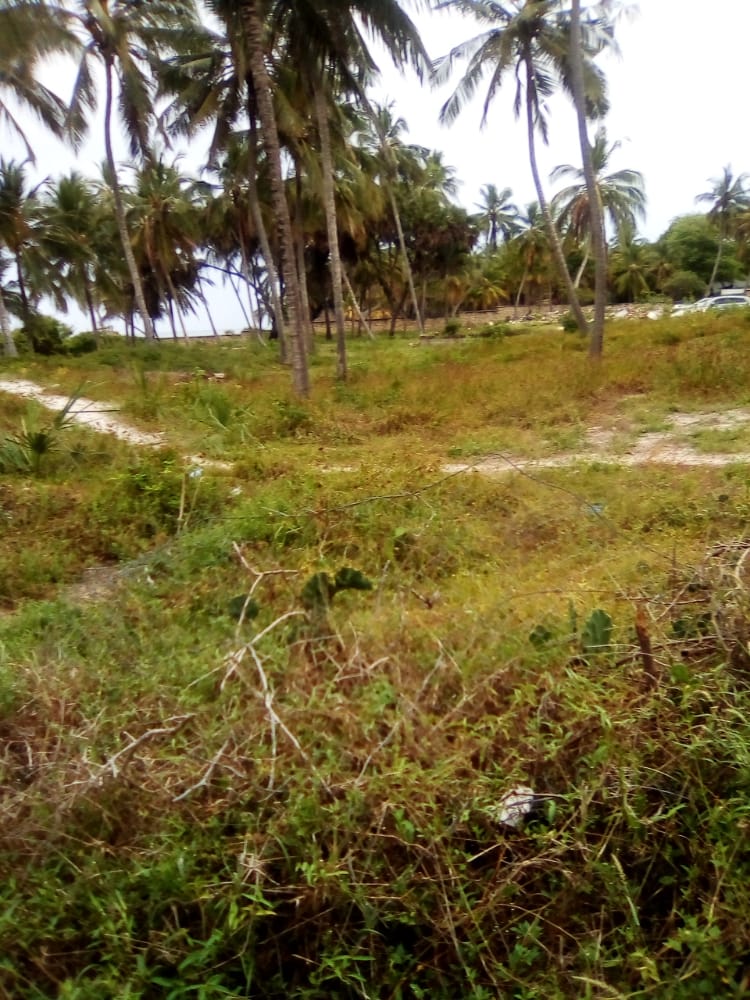 Plots For Sale Nyali Beach
