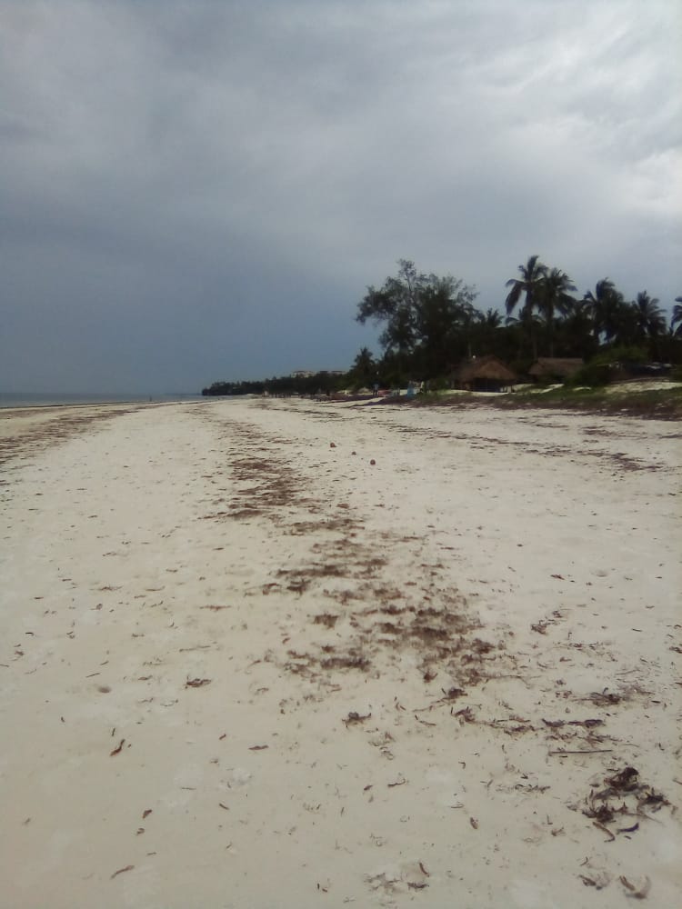 Plots For Sale Nyali Beach