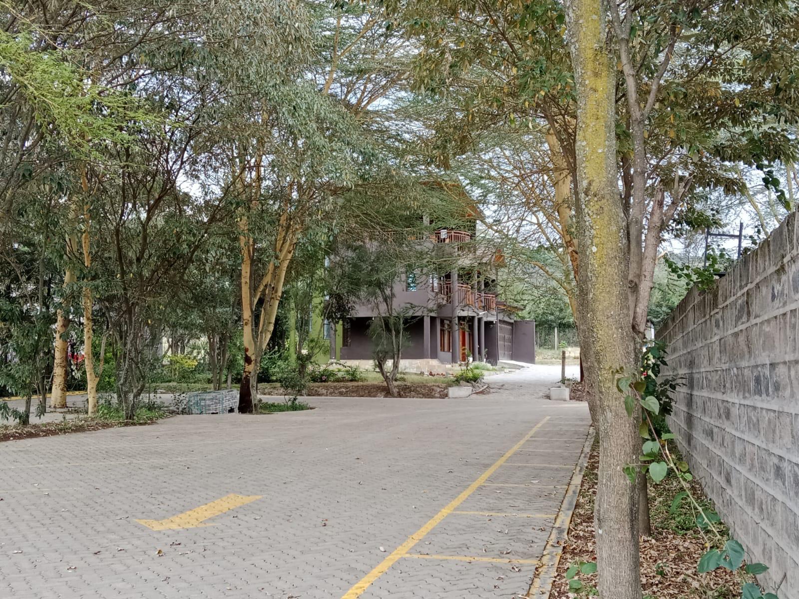 3Bedroom furnished mansion for sale Elementaita