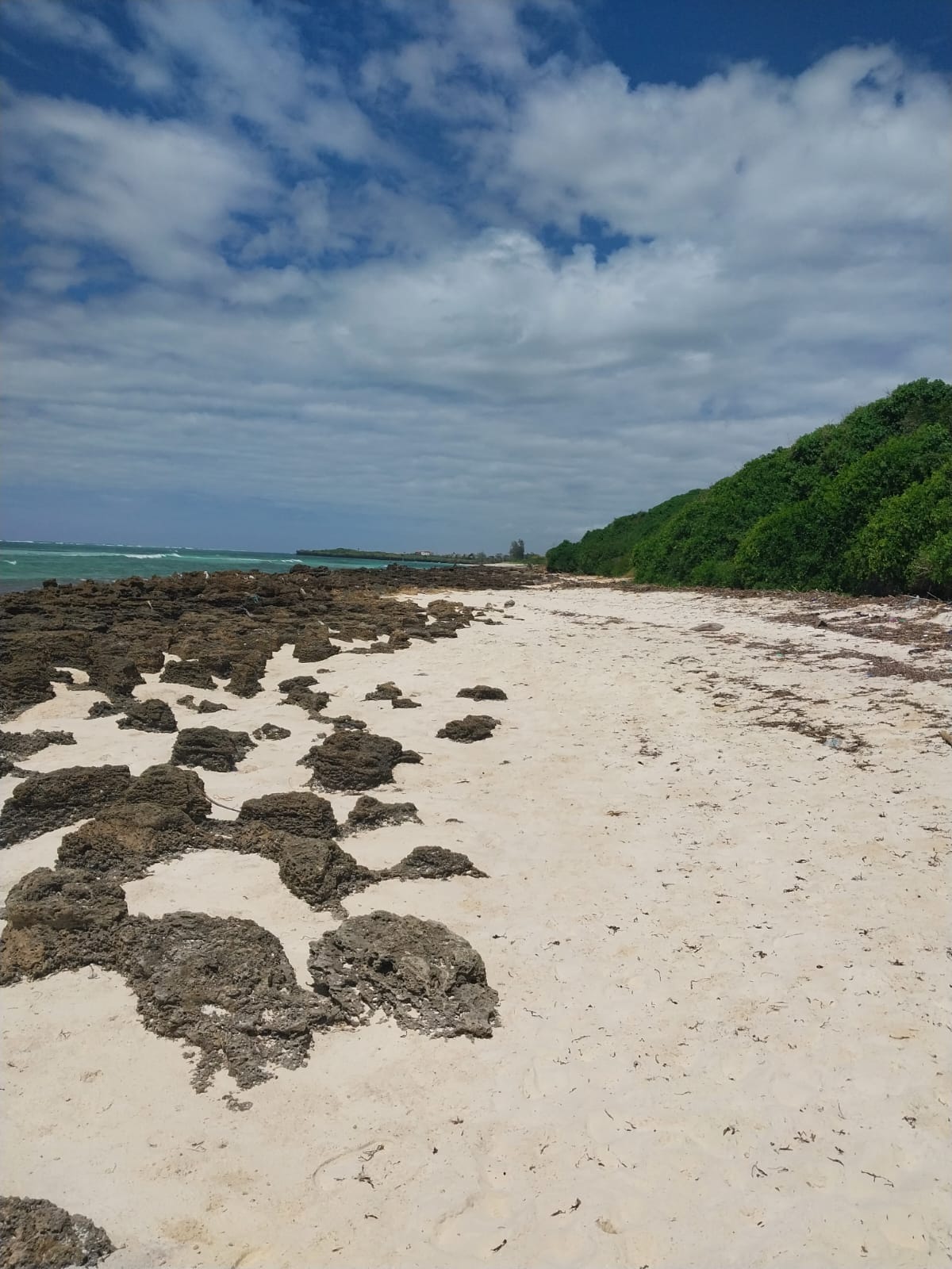 8 Acres For Sale Kilifi