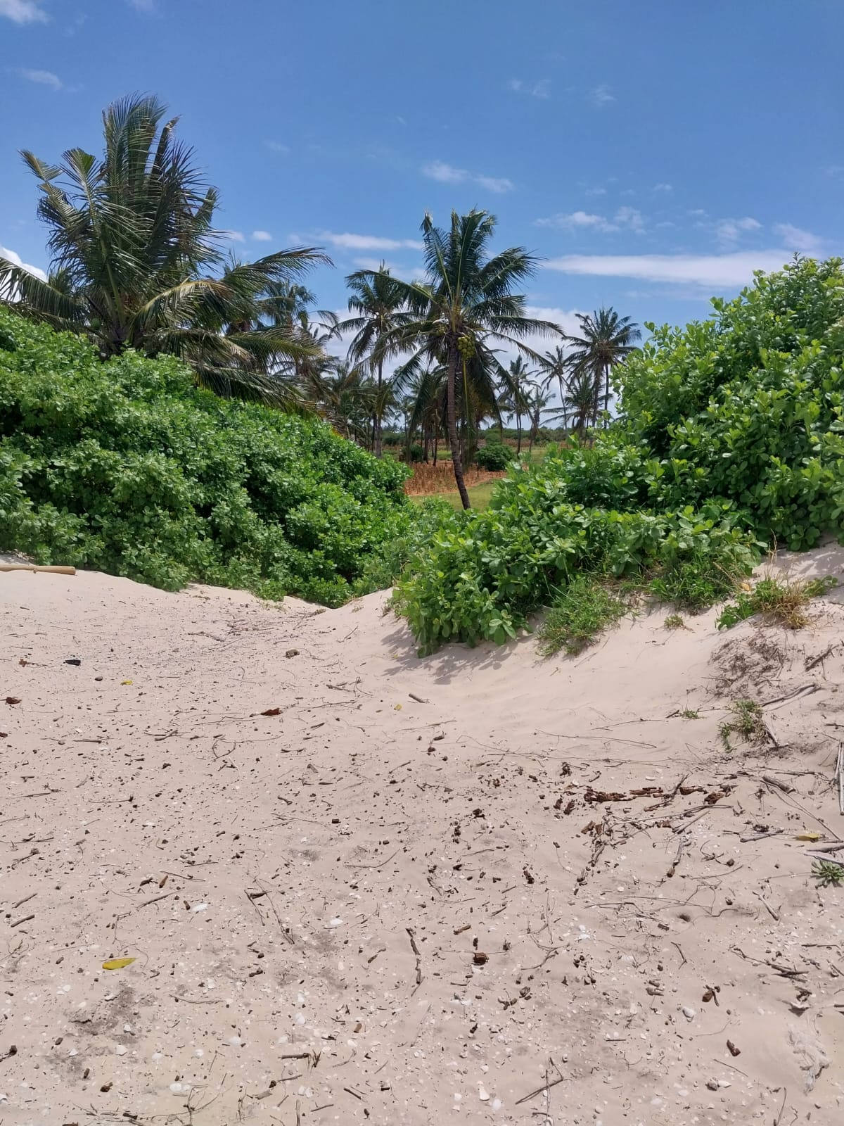 8 Acres For Sale Kilifi