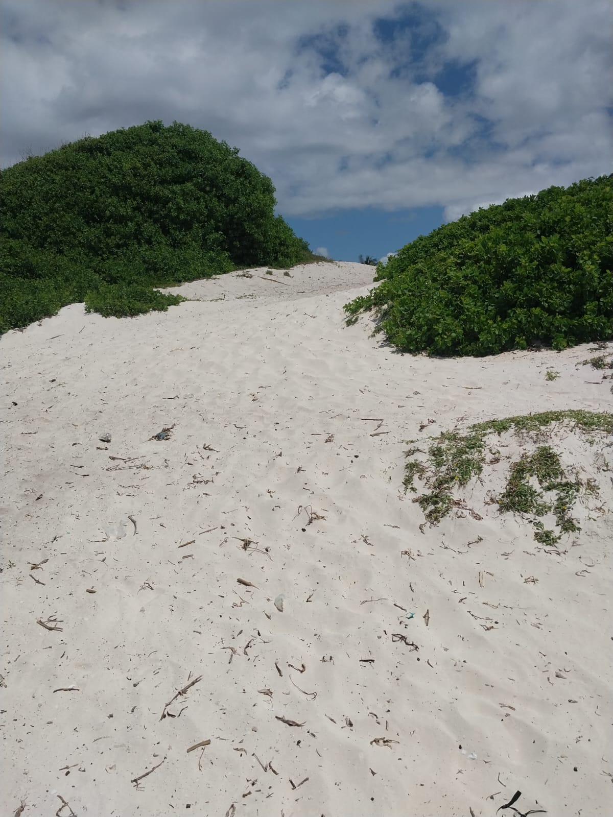 8 Acres For Sale Kilifi