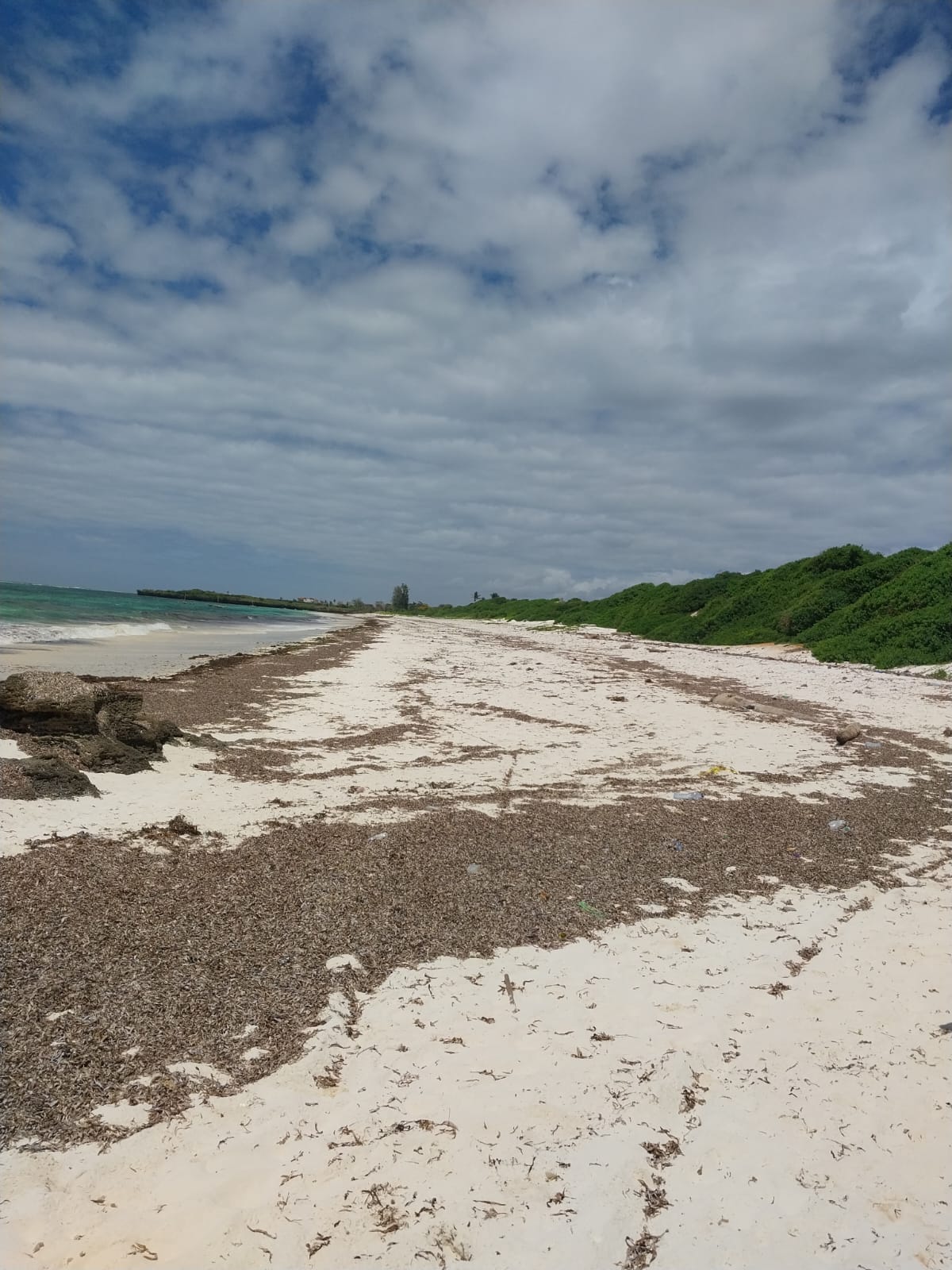 8 Acres For Sale Kilifi