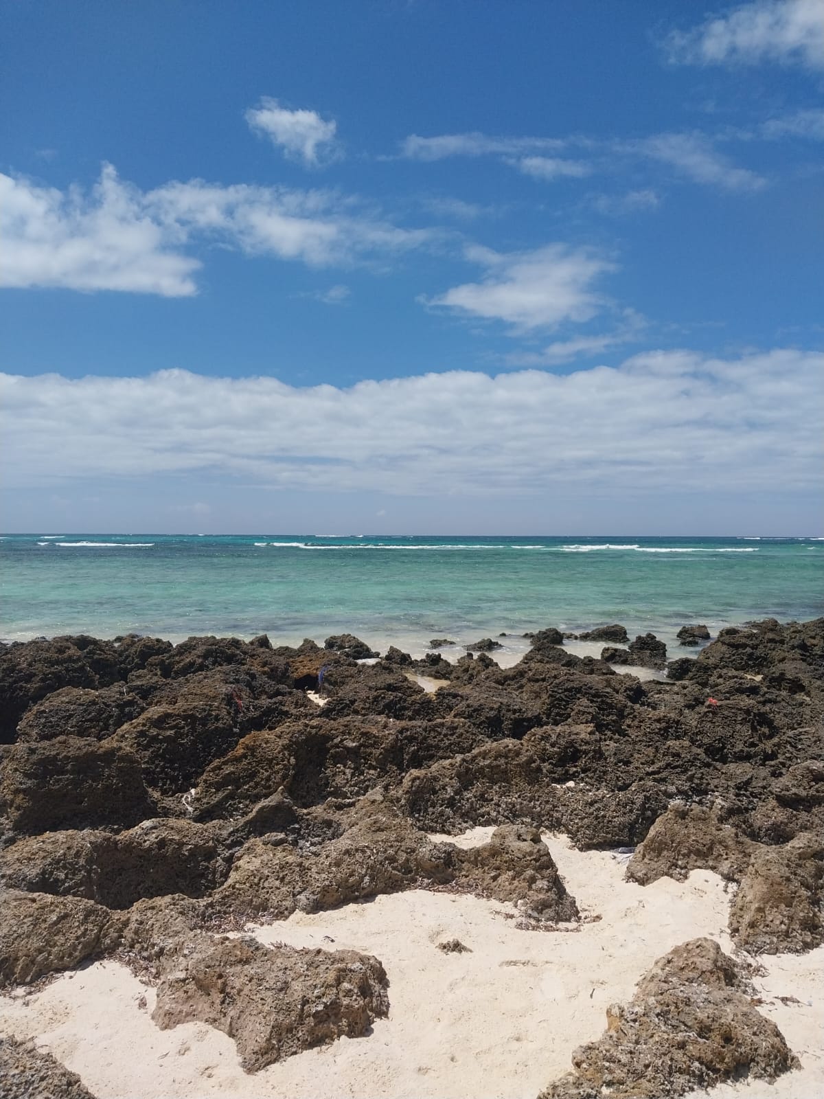 8 Acres For Sale Kilifi