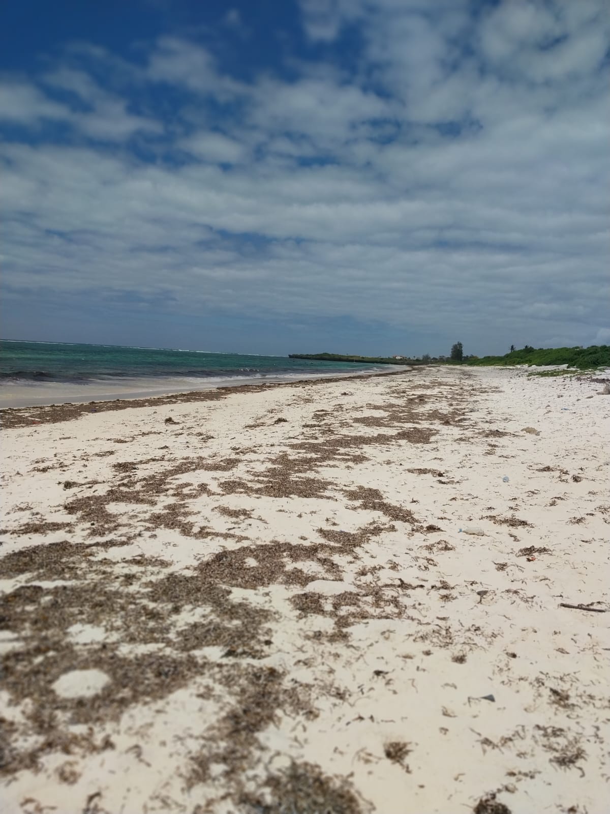 8 Acres For Sale Kilifi