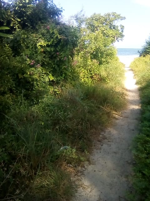 50 Acres  Beach Property Kilifi