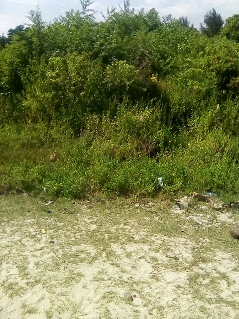 50 Acres  Beach Property Kilifi