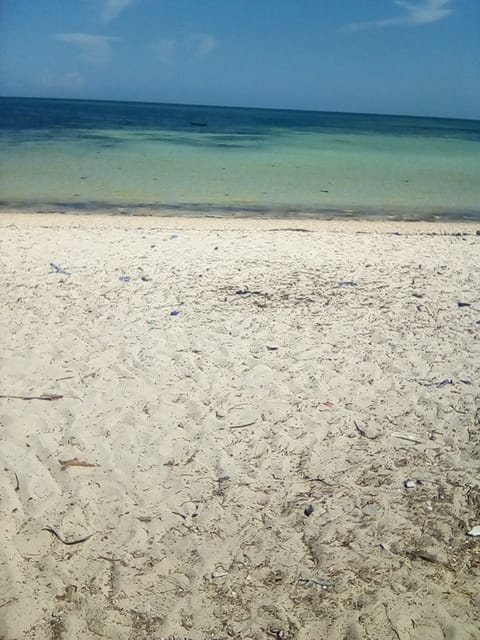 50 Acres  Beach Property Kilifi