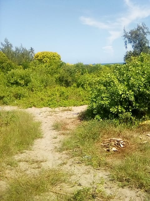 50 Acres  Beach Property Kilifi