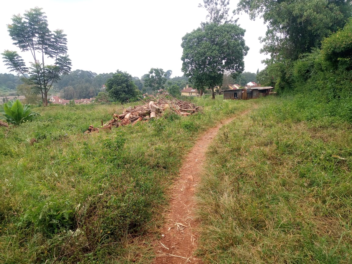 4.5 Acres Loresho Ridge