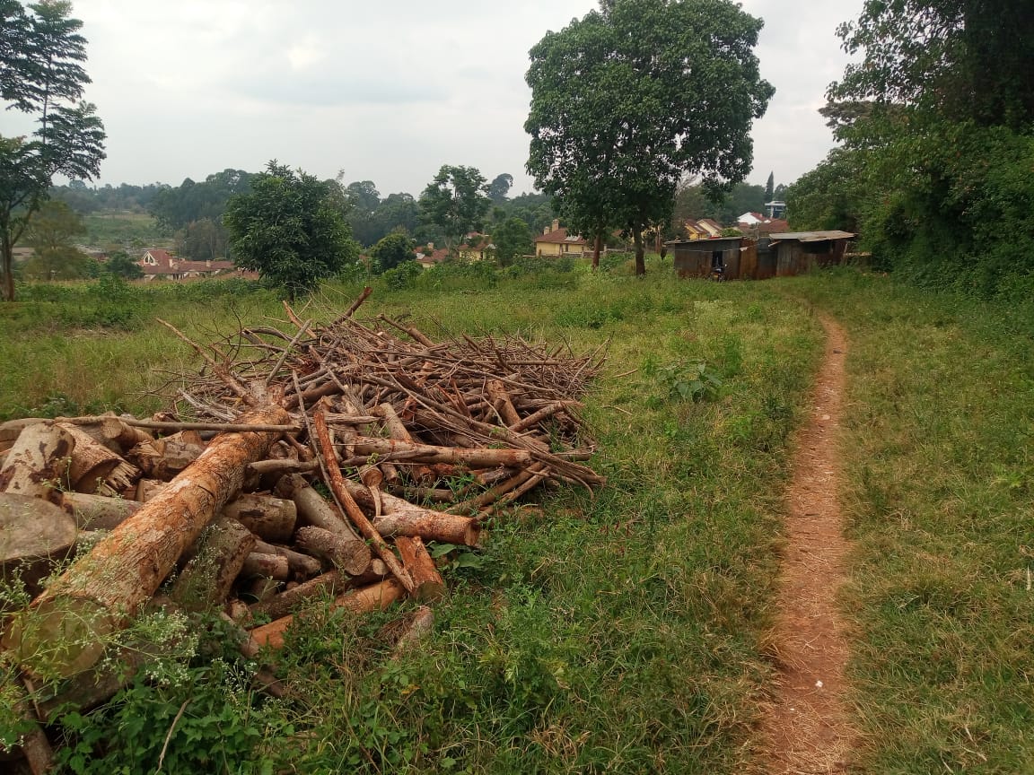 4.5 Acres Loresho Ridge