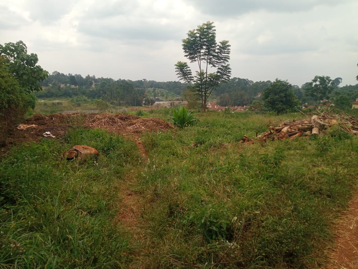 4.5 Acres Loresho Ridge