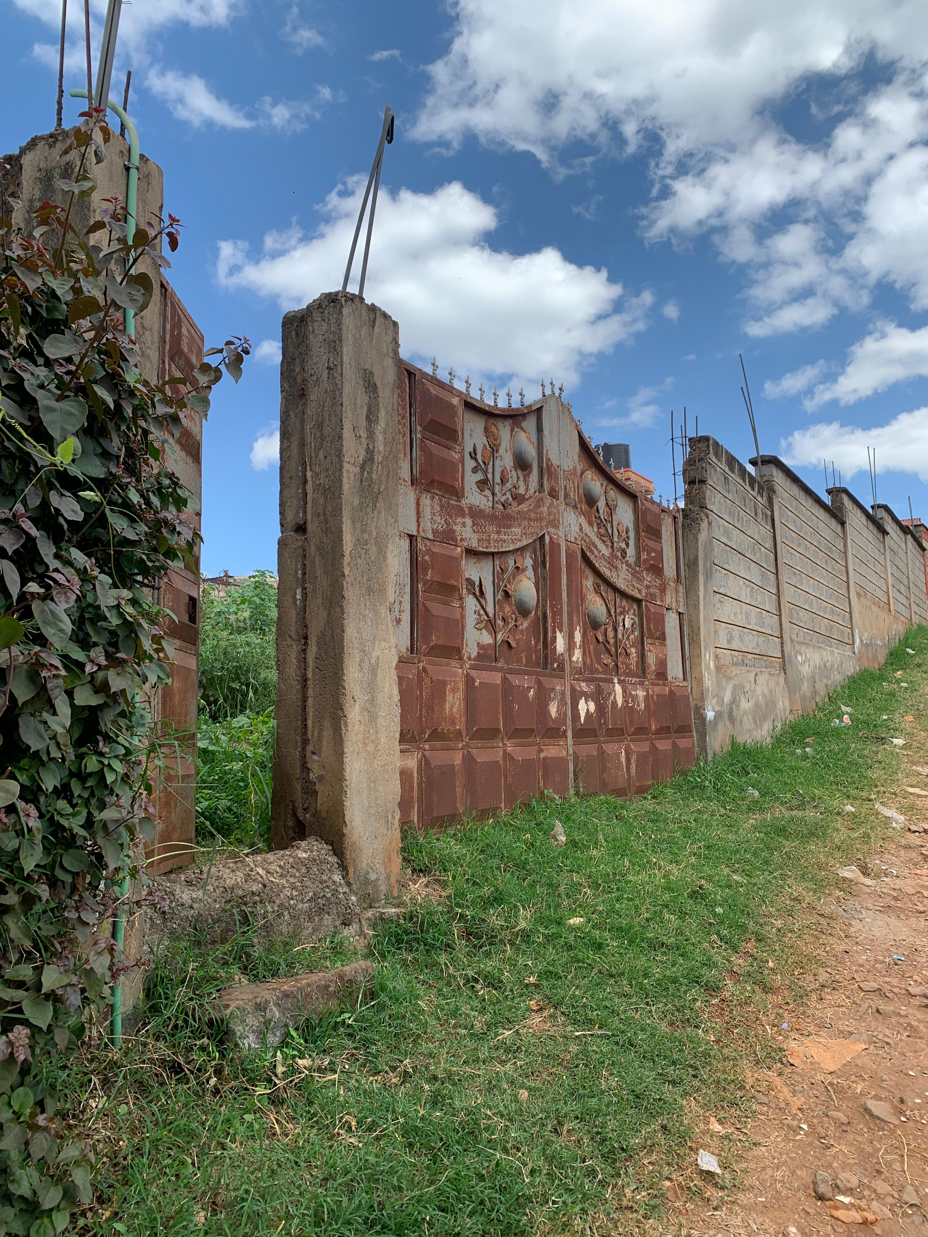 100 by 100 Plot Regen