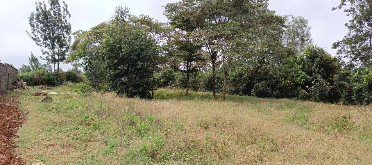 0.8 Acre plots Kibiko Ngong'