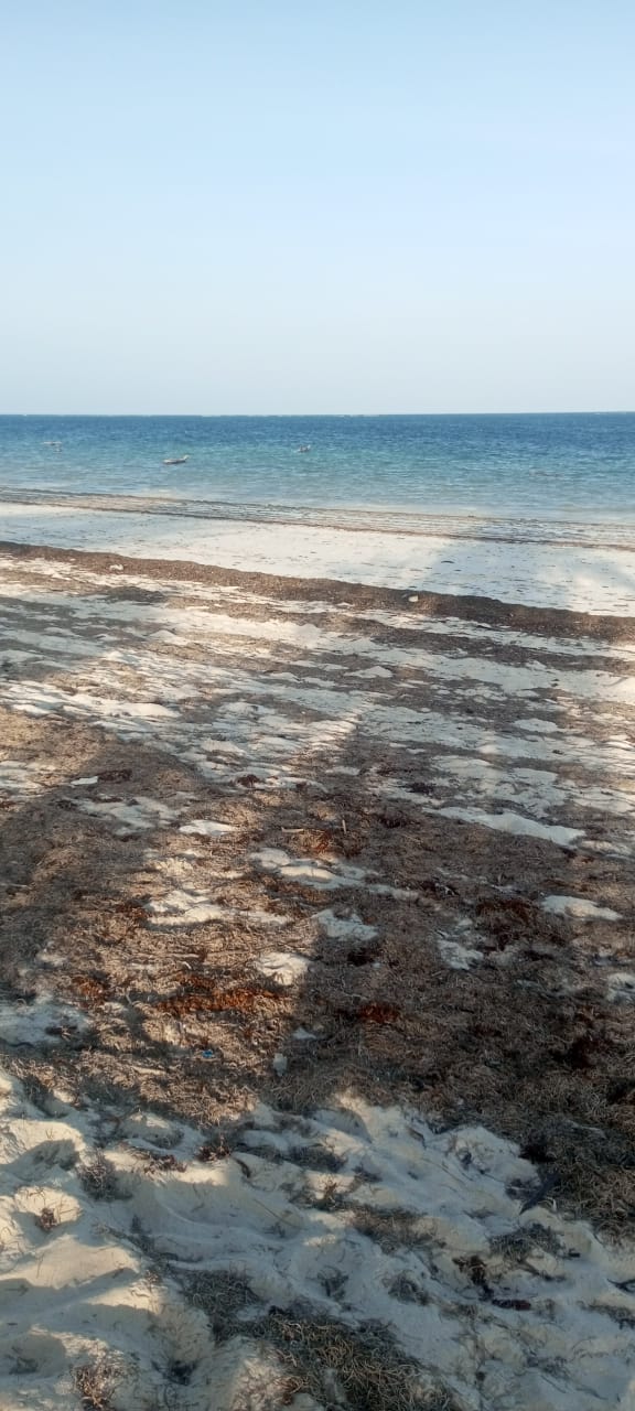 2.44 Acre For sale Diani Beach