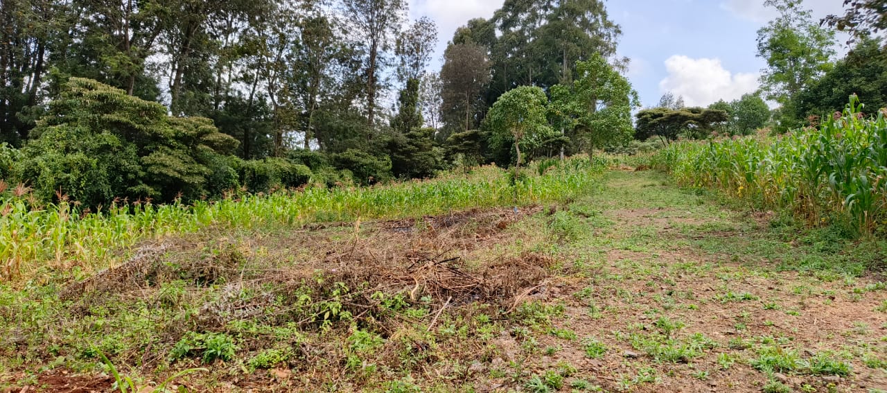 0.8 Acre plots Ngong'