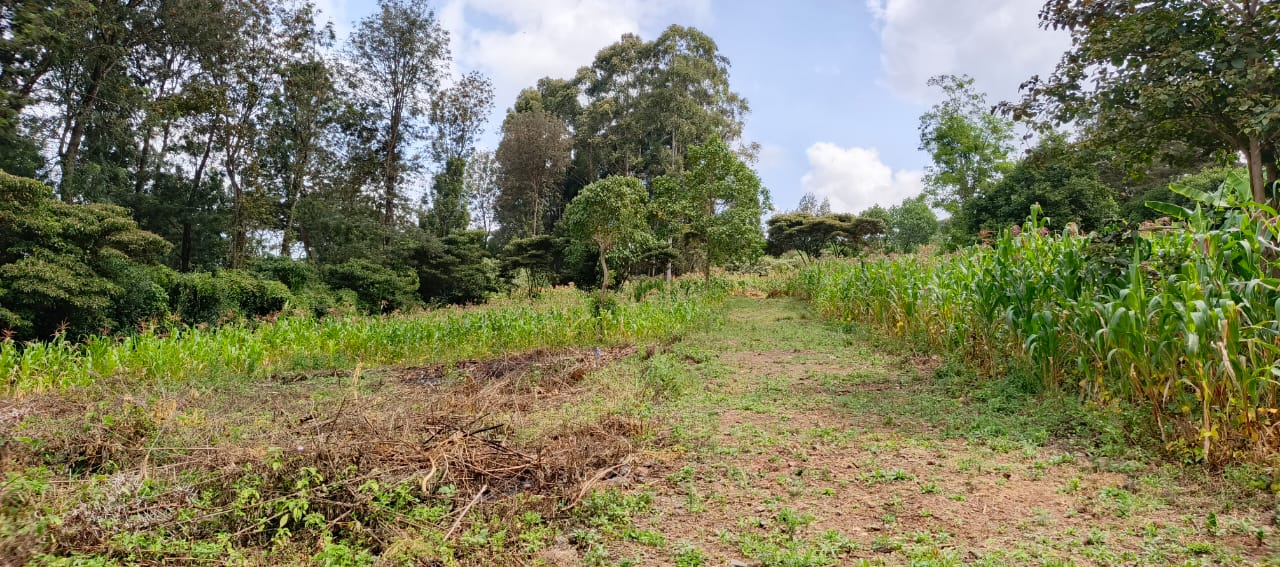 0.8 Acre plots Ngong'