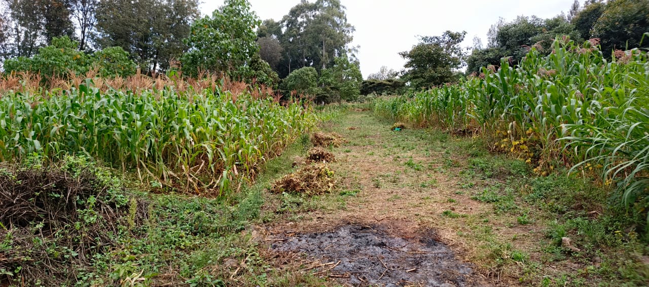 0.8 Acre plots Ngong'